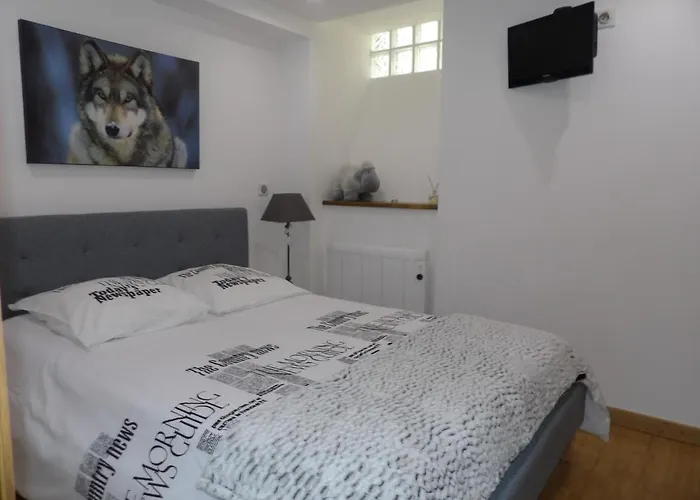 Au Coeur De Cauterets, Joli Duplex De 55m² コテレ